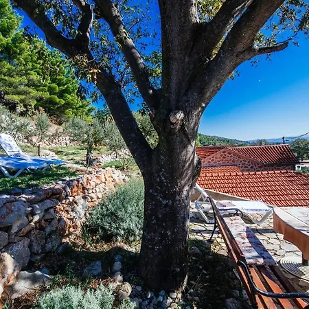 Poolincluded - Stone House Marasovic Tatil Evi *