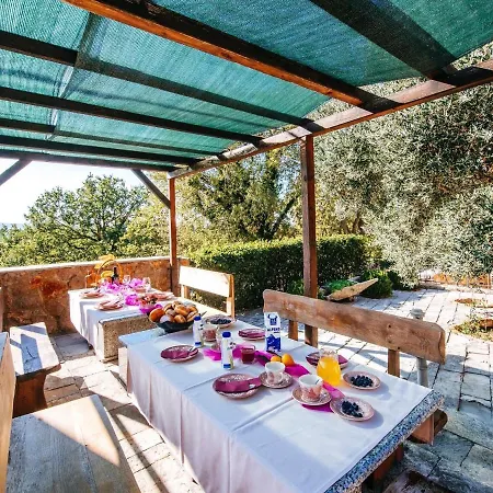 Tatil Evi Poolincluded - Stone House Marasovic Starigrad Paklenica